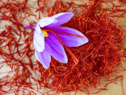 Une fleur de crocus avec du safran sur une table