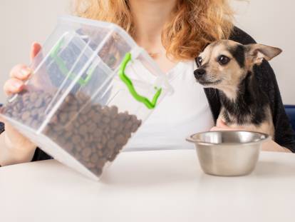 Une femme tient un Chihuahua et une boîte de croquettes dans ses mains