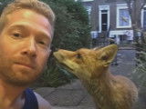 Des renards s'aventurent dans les rues de Londres