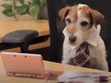 Une publicité Nintendogs avec Uggie, le chien de « The Artist »