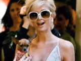 Paris Hilton et ses chiens dans le collimateur de la PETA
