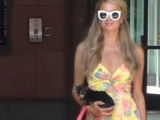 Paris Hilton ne quitte jamais ses chers toutous