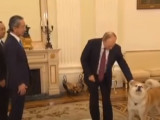 Vladimir Poutine présente sa chienne Yume aux journalistes japonais