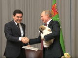 Joli cadeau pour Vladimir Poutine : un Berger d'Asie Centrale
