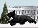Le rêve olympique de Barney, le chien du président Georges W. Bush