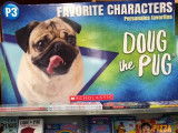 L'incroyable célébrité de Doug The Pug
