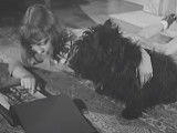 The President's Dog (1943), le film sur Fala, le Scottish Terrier du président Franklin D. Roosevelt