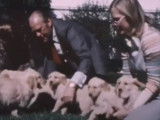 Le président Gerald Ford et sa famille jouent avec les chiots de son Golden Retriever Liberty