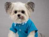 Norbert photographié de face et portant une chemise bleu clair