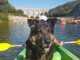Le chien Bangui assis dans un kayak sur une rivière, avec le pont du Gard en arrière-plan