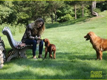Blake Lively assise sur un banc en extérieur et montrant une balle à un de ses chiens