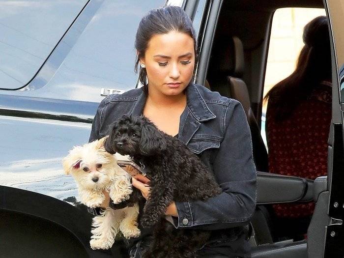 Demi Lovato devant une voiture et portant dans ses bras ses deux chiens Batman et Cinderella