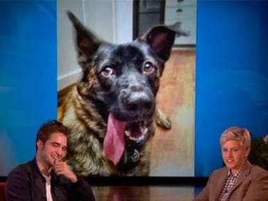 Robert Pattinson et une photo de son chien Bear en arrière-plan