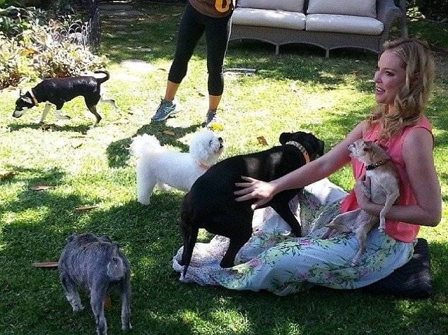 Katherine Heigl assise au sol dans un jardin et entourée de plusieurs chiens