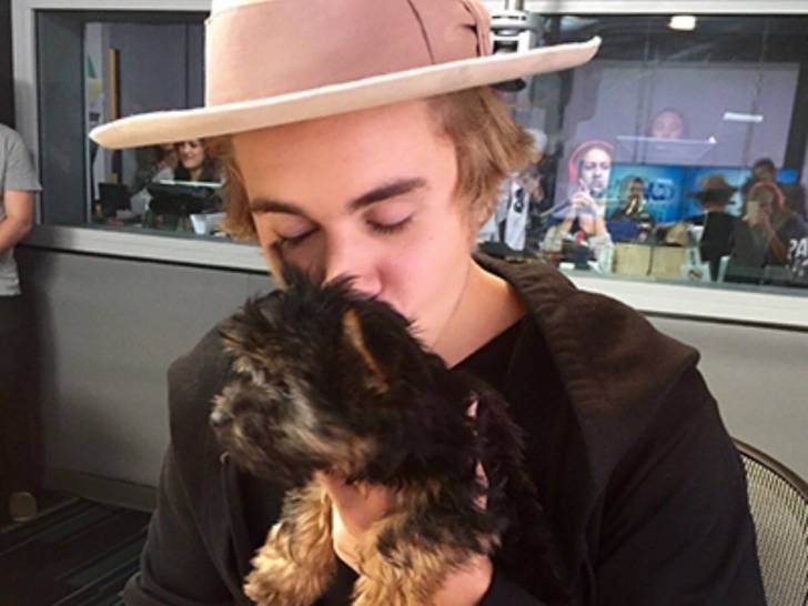 Justin Bieber en train d'embrasser un de ses chiens