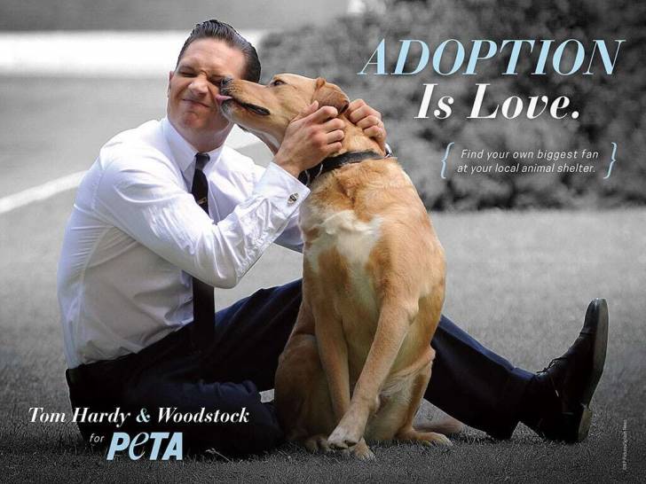 Photo de Tom Hardy avec un chien utilisée pour une campagne de PETA