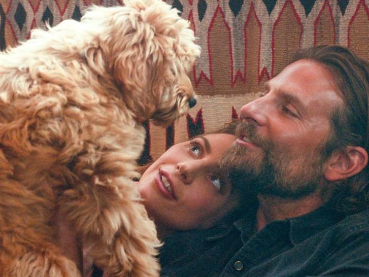 Bradley Cooper faisant face à son chien Charlie