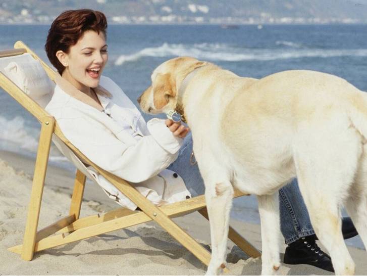 Drew Barrymore assise sur un transat sur une plage et en train de saluer son chien Flossie