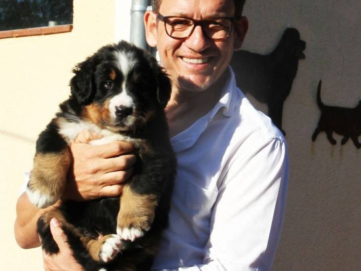 Dany Boon tenant un de ses chiens dans ses bras