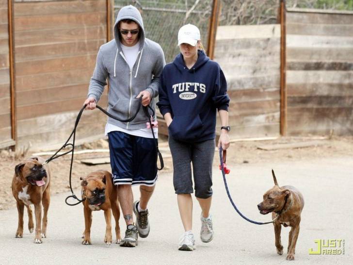 Jessica Biel et Justin Timberlake en train de promener leurs trois chiens