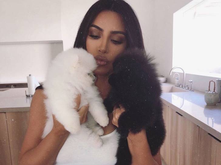 Kim Kardashian tenant ses deux chiens dans ses bras