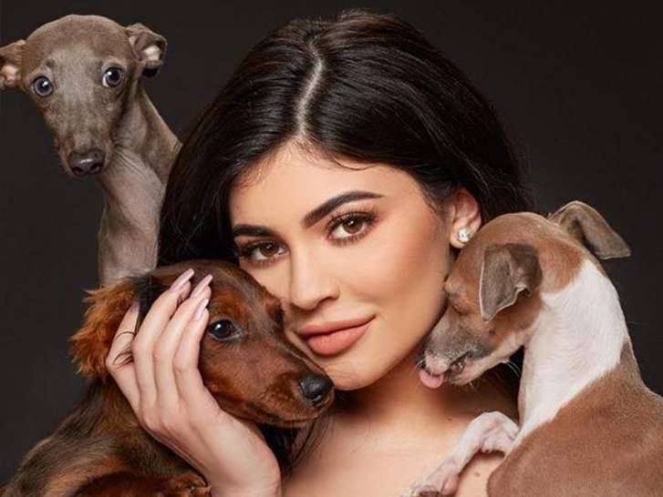 Kylie Jenner prenant la pose avec trois de ses chiens