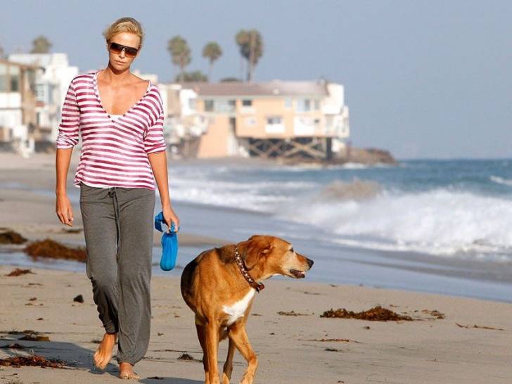 Charlize Theron en train de marcher sur une plage avec son chien Tucker
