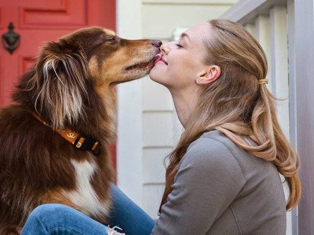 Amanda Seyfried en train d'embrasser son chien Finn