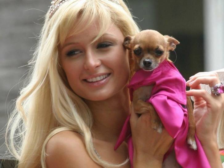 Paris Hilton tenant dans ses bras son chien Tinkerbell