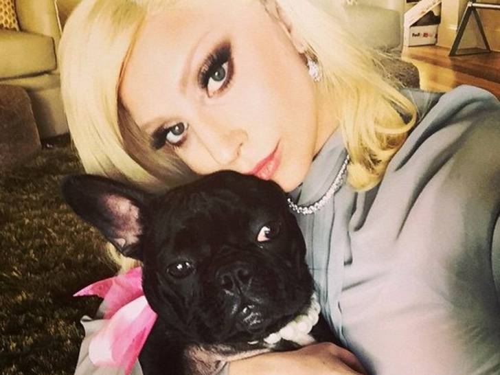 Un selfie de Lady Gaga avec son chien Asia
