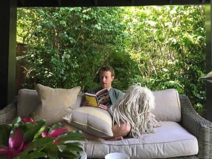 Mark Zuckerberg installé sur un canapé en train de lire un livre, avec son chien Beast sur les genoux