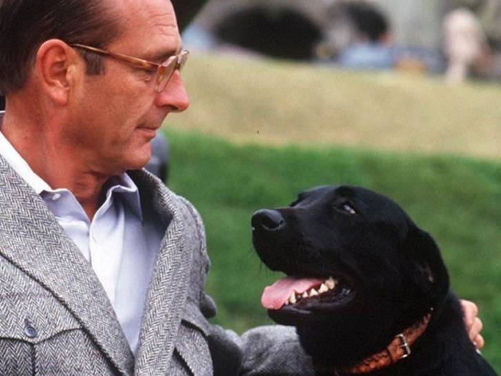 Maskou et Sumo, les chiens du Président Jacques Chirac