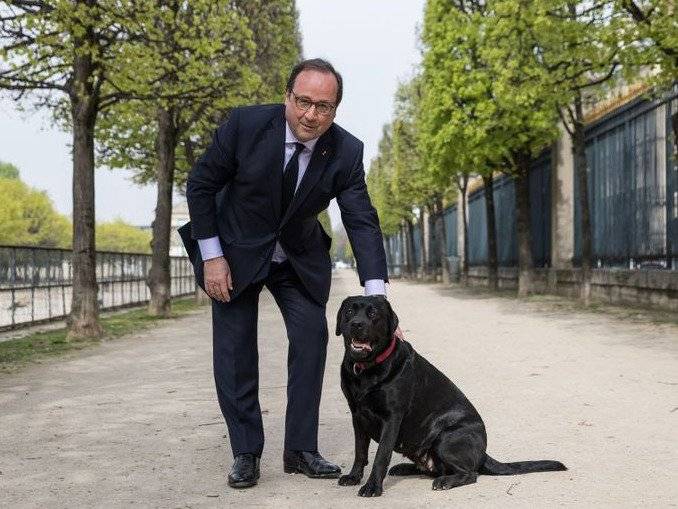 Philae, le chien du Président François Hollande