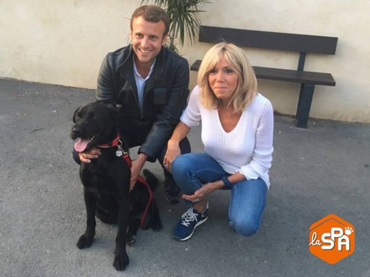 Nemo, le chien du Président Emmanuel Macron