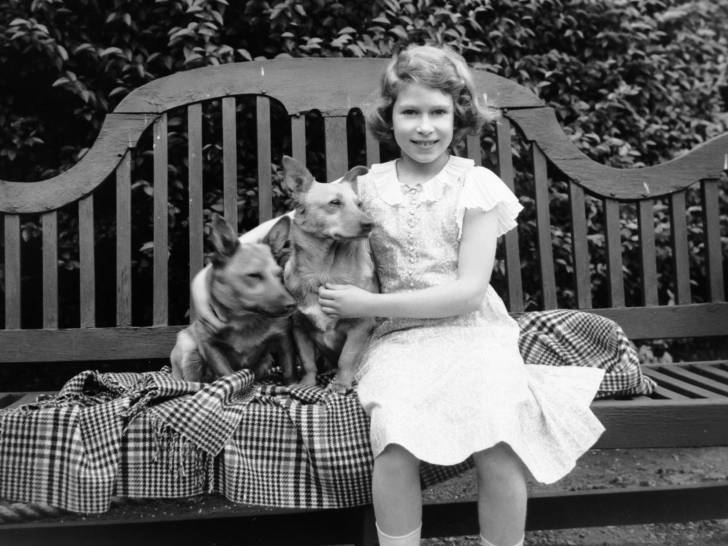 Les chiens de la reine Elisabeth II