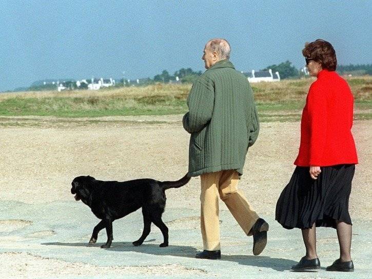 Baltique, la chienne de François Mitterrand