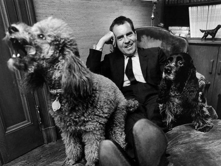 Le président Nixon avec son Caniche et son Cocker