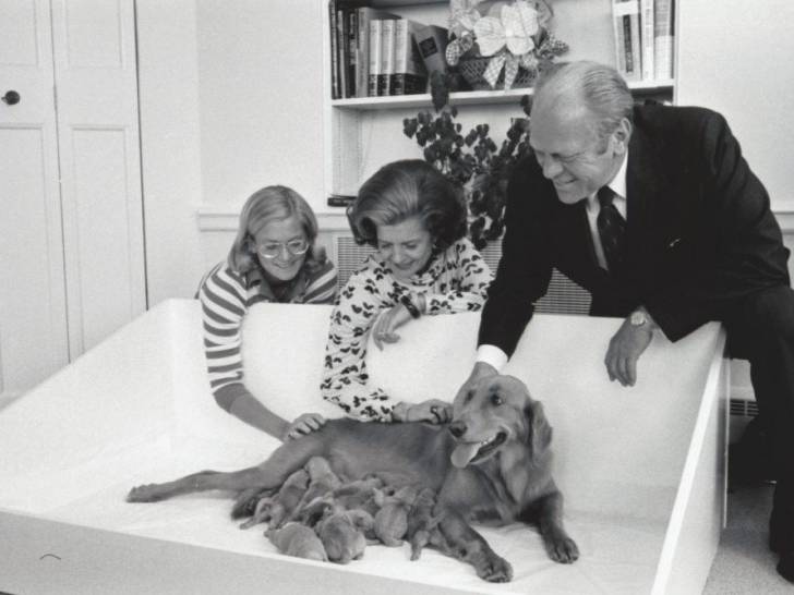 Le président Gerald Ford et sa chienne Golden Retriever Liberty ainsi que ses chiots