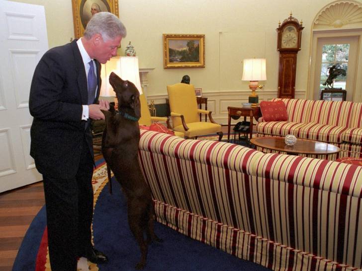 Bill Clinton et son Golden Retriever Buddy