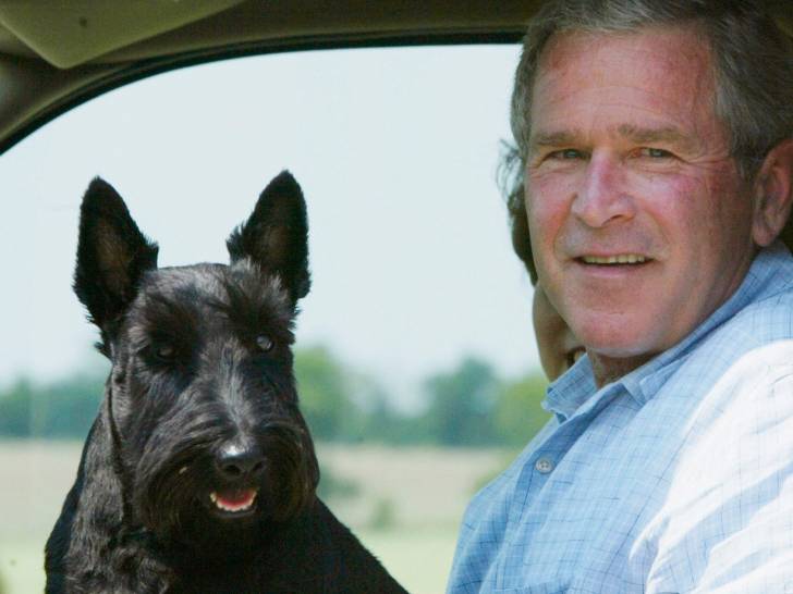George W. Bush et son Terrier Ecossais Barney