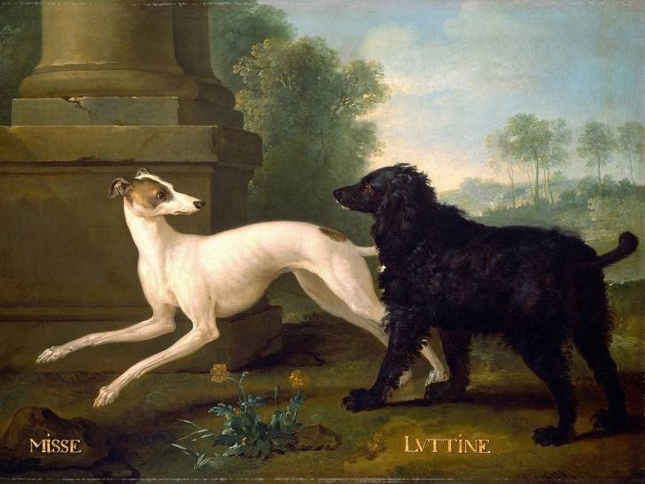 Le tableau « Misse et Luttine » de Jean-Baptiste Oudry (1729), qui représente les chiens de Louis XV