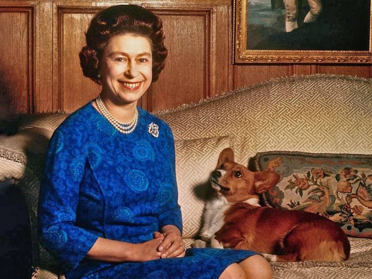 La reine Elizabeth II posant assise sur un canapé à côté d'un de ses Corgis