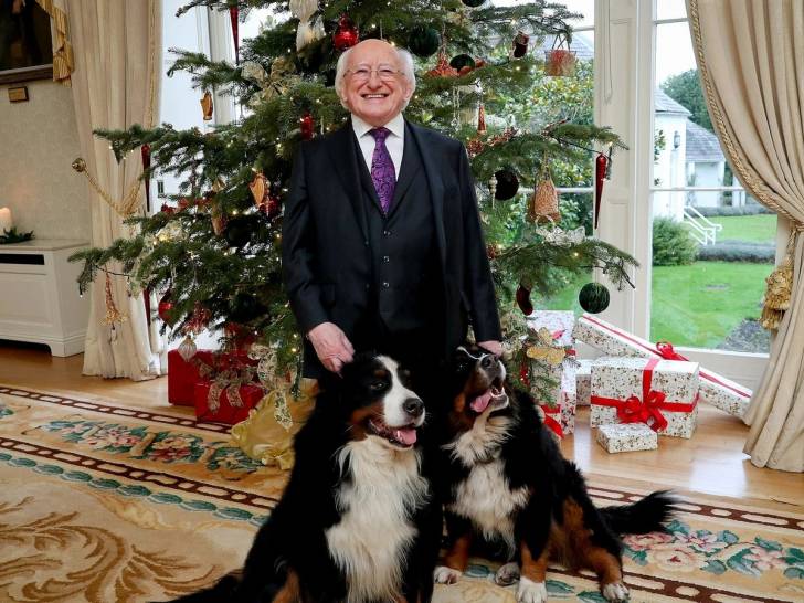 Le président irlandais Michael D. Higgins et ses deux Bouviers Bernois