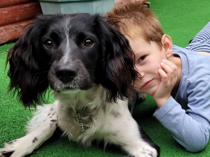 Le chien Poppy allongé par terre à côté de son jeune maître diabétique