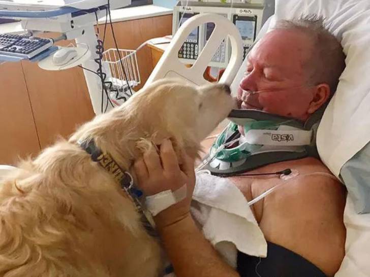 Le chien Kelsey allongé sur son maître Bob, installé sur un lit d'hôpital après avoir survécu de peu au froid