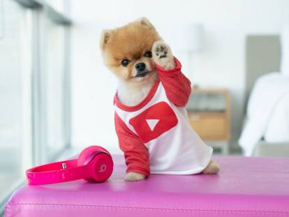 Jiffpom t shirt best sale