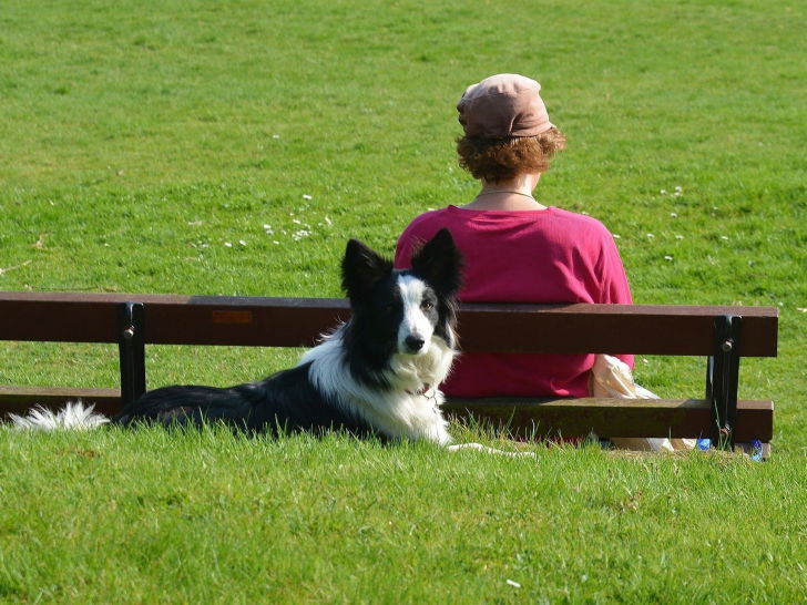 Ignorer son chien de temps en temps