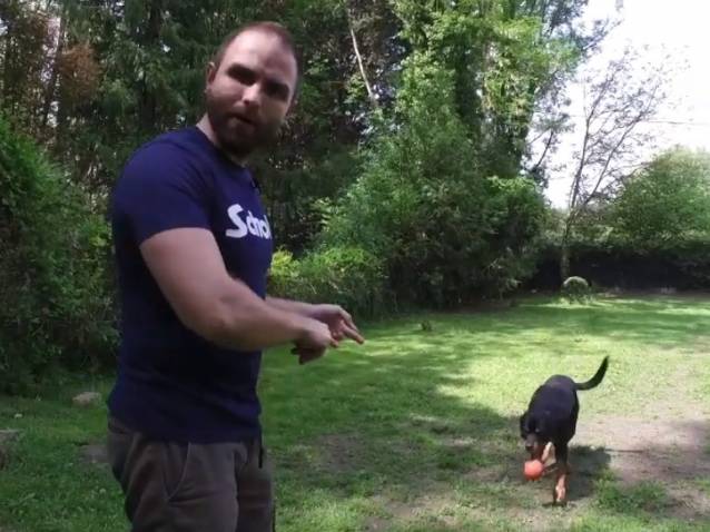 Comment Apprendre Va Chercher A Son Chien Apprendre à son chien à rapporter la balle (vidéo)