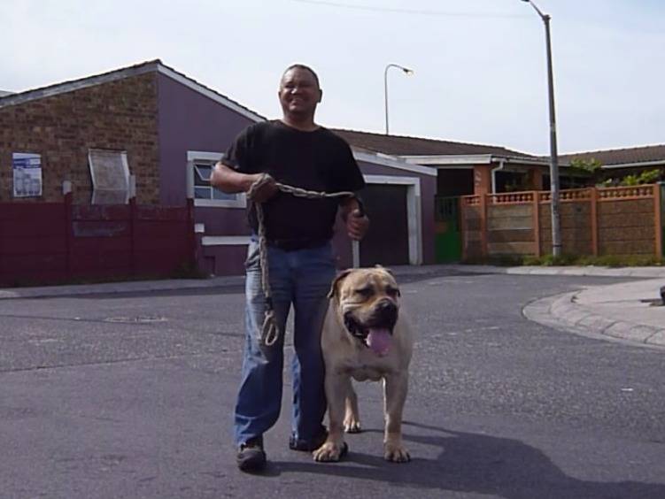 jacob mufasa boerboel