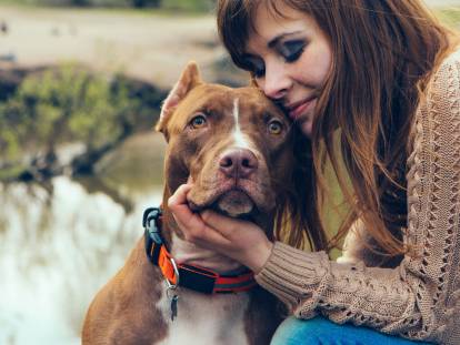 Communication chiens/humains : comprendre le langage non verbal du chien